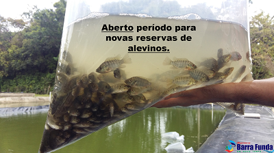 Fotos