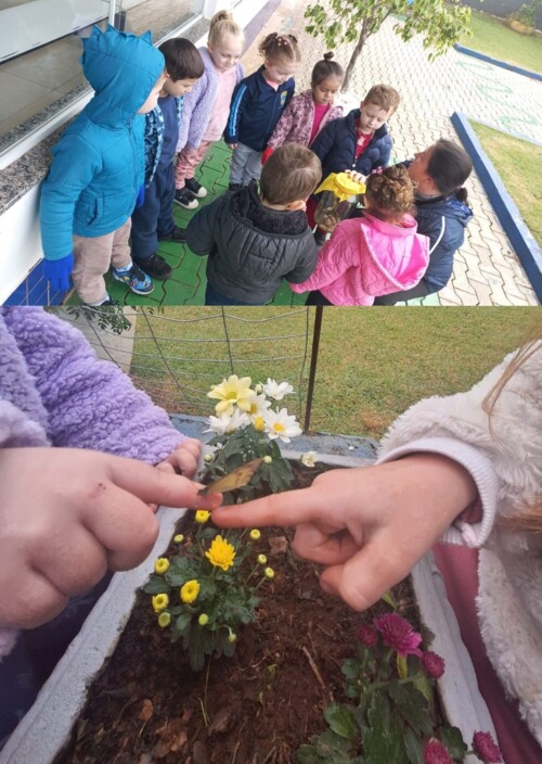 uma-transformacao-que-encantou-a-turma-da-pre-i-na-emei- ...